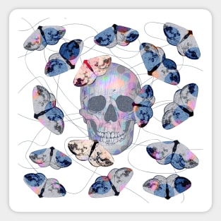 clouded silver moth - blue - skull Magnet